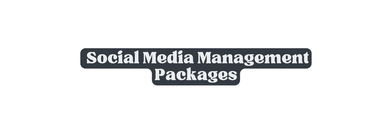 Social Media Management Packages